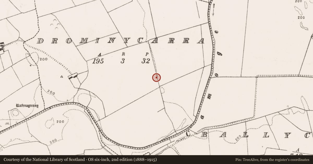 Ordnance Survey six-inch map, 2nd edition (1888–1915) covering the location of Enclosure, Drominycarra, County Limerick, with a pin at the register's coordinates