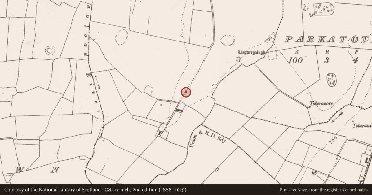 Ordnance Survey six-inch map, 2nd edition (1888–1915) covering the location of Standing stone, Boherload, County Limerick, with a pin at the register's coordinates