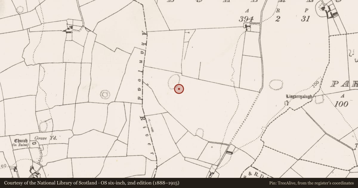 Ordnance Survey six-inch map, 2nd edition (1888–1915) covering the location of Field system, Boherload, County Limerick, with a pin at the register's coordinates