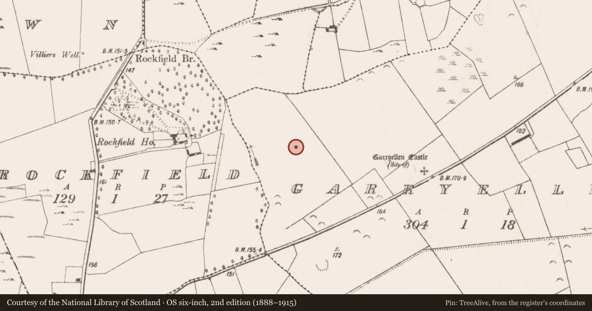 Ordnance Survey six-inch map, 2nd edition (1888–1915) covering the location of Ringfort - unclassified, Garryellen, County Limerick, with a pin at the register's coordinates