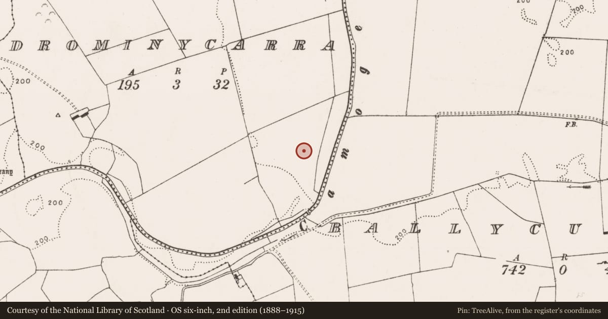 Ordnance Survey six-inch map, 2nd edition (1888–1915) covering the location of Standing stone, Drominycarra, County Limerick, with a pin at the register's coordinates