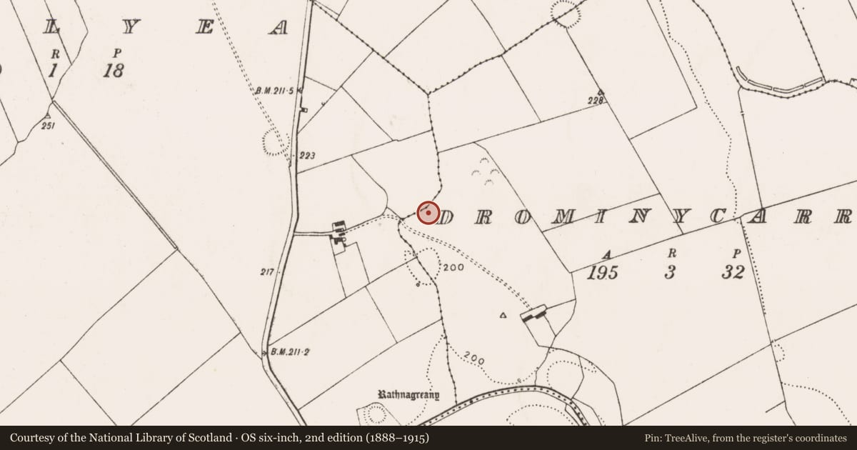 Ordnance Survey six-inch map, 2nd edition (1888–1915) covering the location of Fulacht fia, Drominycarra, County Limerick, with a pin at the register's coordinates