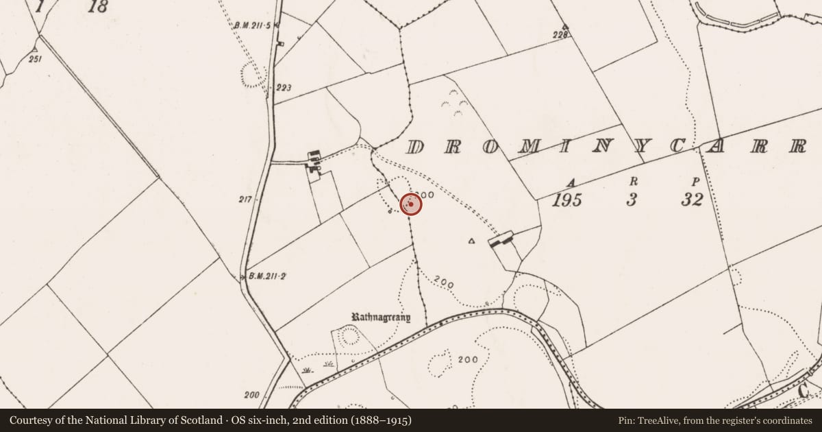 Ordnance Survey six-inch map, 2nd edition (1888–1915) covering the location of Fulacht fia, Drominycarra, County Limerick, with a pin at the register's coordinates