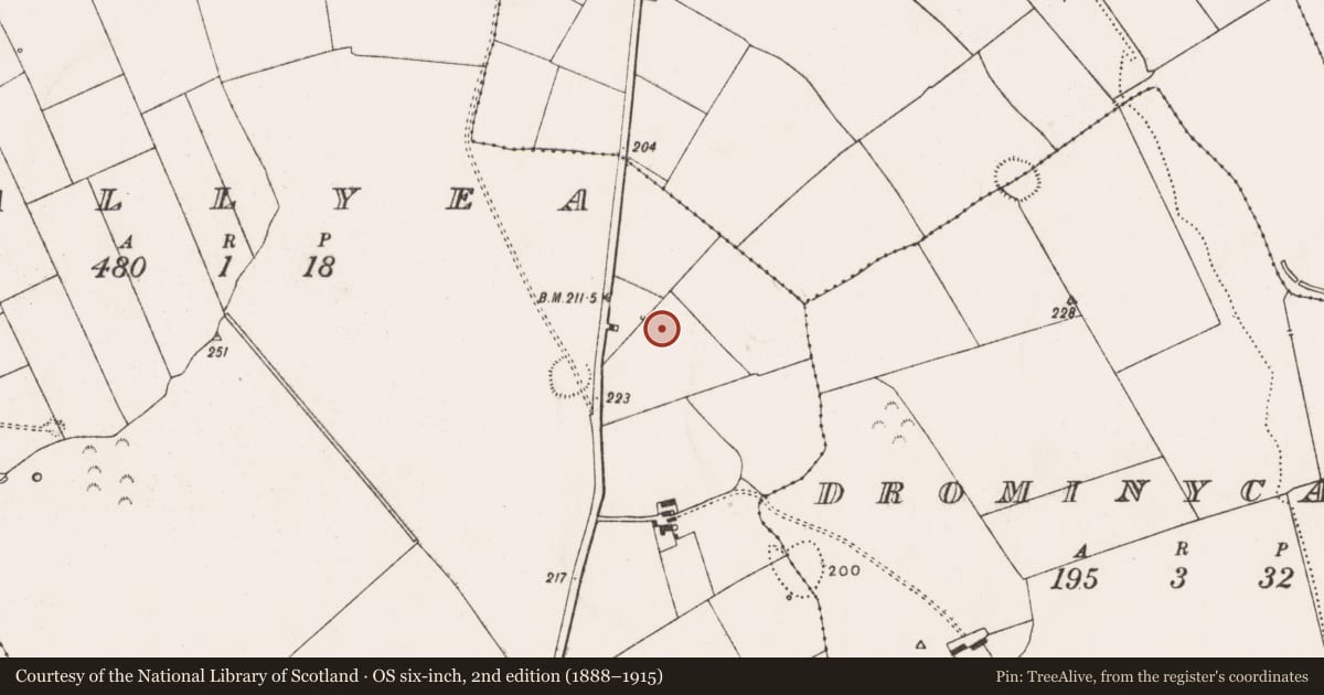 Ordnance Survey six-inch map, 2nd edition (1888–1915) covering the location of Enclosure, Ballyea, County Limerick, with a pin at the register's coordinates