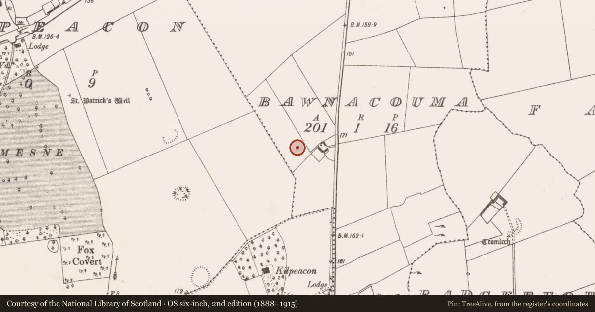 Ordnance Survey six-inch map, 2nd edition (1888–1915) covering the location of Standing stone, Bawnacouma, County Limerick, with a pin at the register's coordinates