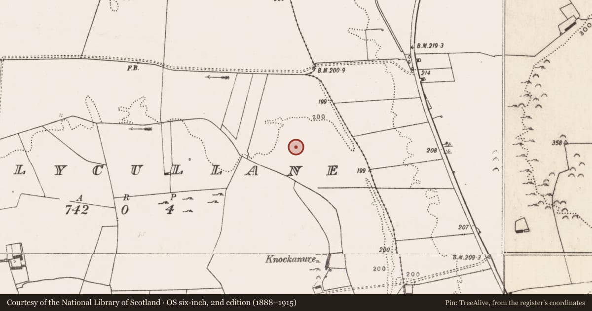 Ordnance Survey six-inch map, 2nd edition (1888–1915) covering the location of Fulacht fia, Ballycullane, County Limerick, with a pin at the register's coordinates