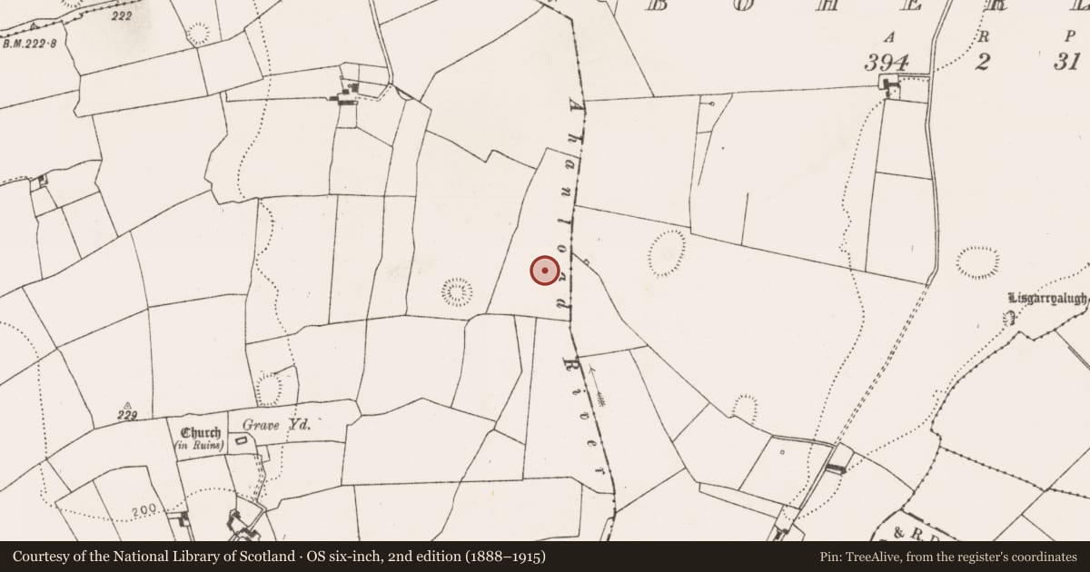 Ordnance Survey six-inch map, 2nd edition (1888–1915) covering the location of Enclosure, Fanningstown, County Limerick, with a pin at the register's coordinates