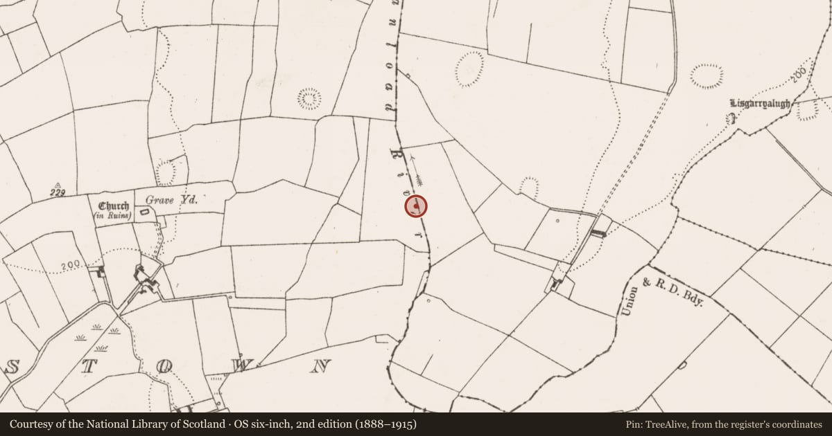 Ordnance Survey six-inch map, 2nd edition (1888–1915) covering the location of Field system, Boherload, Fanningstown, County Limerick, with a pin at the register's coordinates