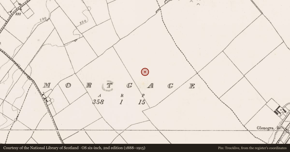 Ordnance Survey six-inch map, 2nd edition (1888–1915) covering the location of Enclosure, Mortgage, County Limerick, with a pin at the register's coordinates