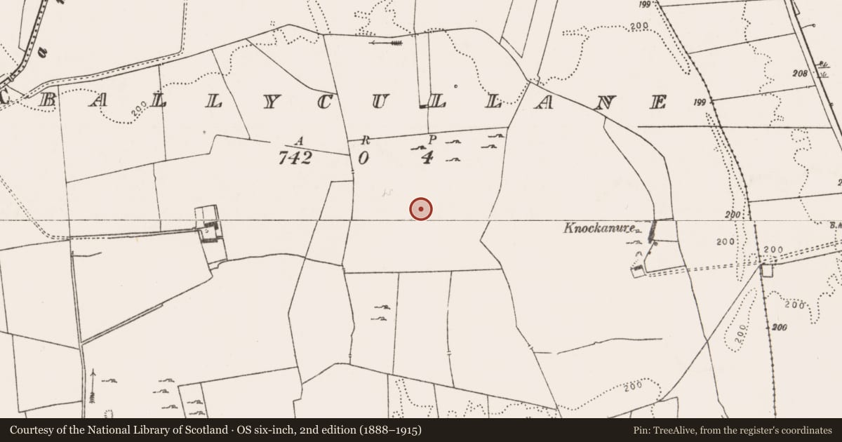 Ordnance Survey six-inch map, 2nd edition (1888–1915) covering the location of Field system, Ballycullane, County Limerick, with a pin at the register's coordinates
