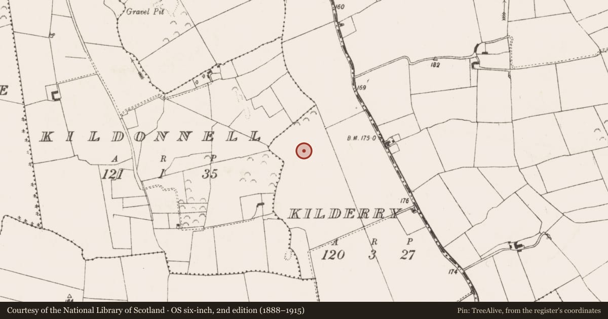 Ordnance Survey six-inch map, 2nd edition (1888–1915) covering the location of Field system, Kilderry, Kilderry, County Limerick, with a pin at the register's coordinates