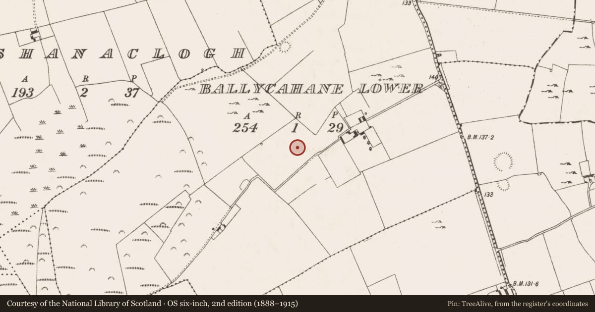 Ordnance Survey six-inch map, 2nd edition (1888–1915) covering the location of Hearth, Ballycahane Lower, County Limerick, with a pin at the register's coordinates