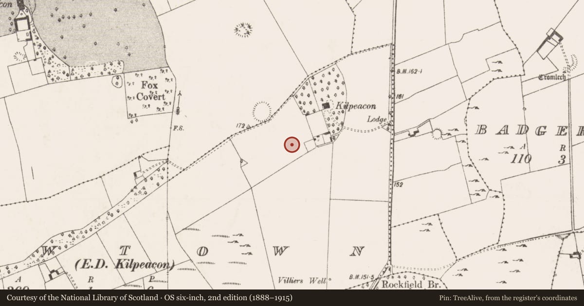 Ordnance Survey six-inch map, 2nd edition (1888–1915) covering the location of Enclosure, Newtown, County Limerick, with a pin at the register's coordinates