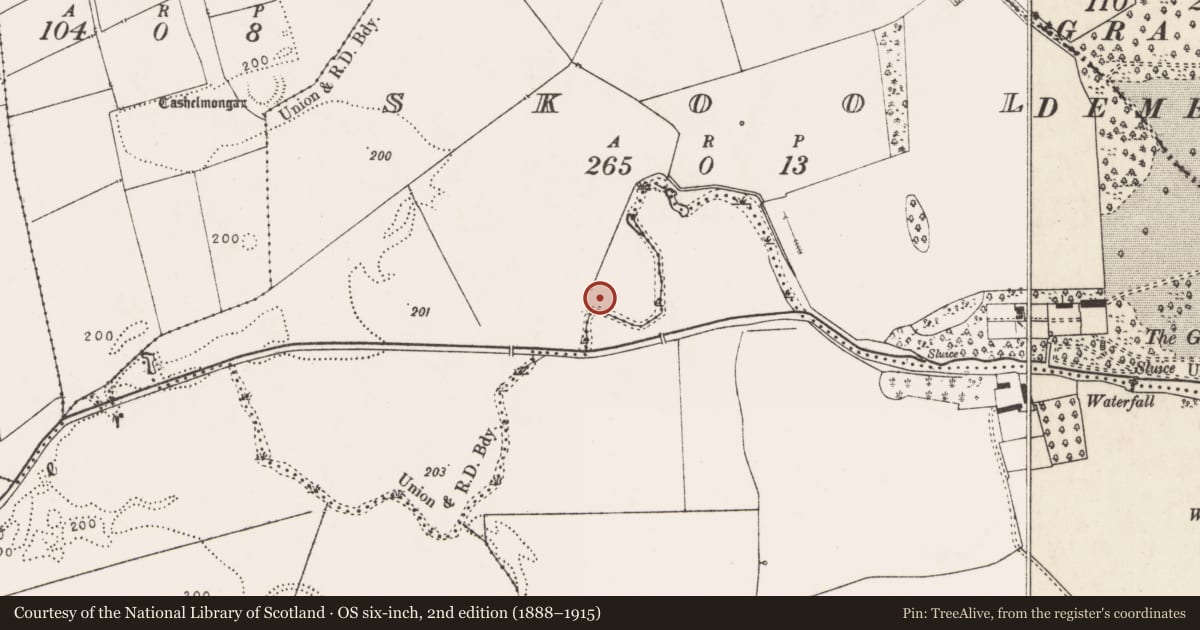 Ordnance Survey six-inch map, 2nd edition (1888–1915) covering the location of Barrow - ring-barrow, Skool, County Limerick, with a pin at the register's coordinates