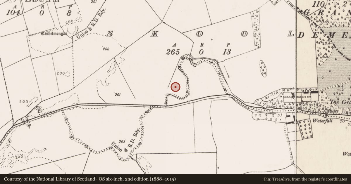 Ordnance Survey six-inch map, 2nd edition (1888–1915) covering the location of Barrow - mound barrow, Skool, County Limerick, with a pin at the register's coordinates