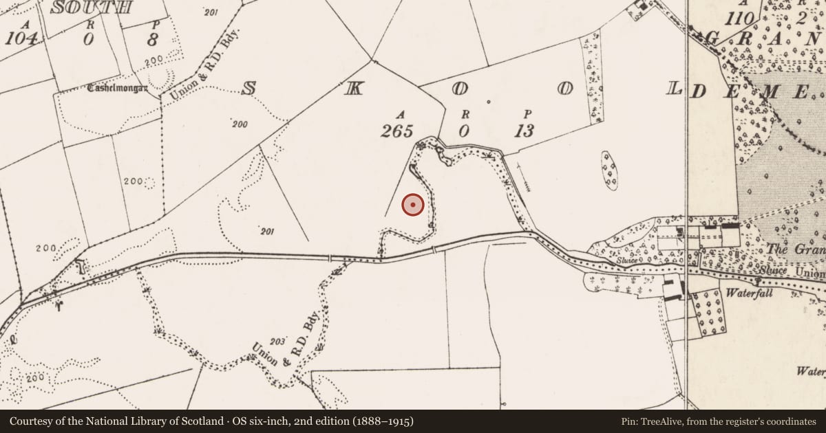 Ordnance Survey six-inch map, 2nd edition (1888–1915) covering the location of Barrow - unclassified, Skool, County Limerick, with a pin at the register's coordinates