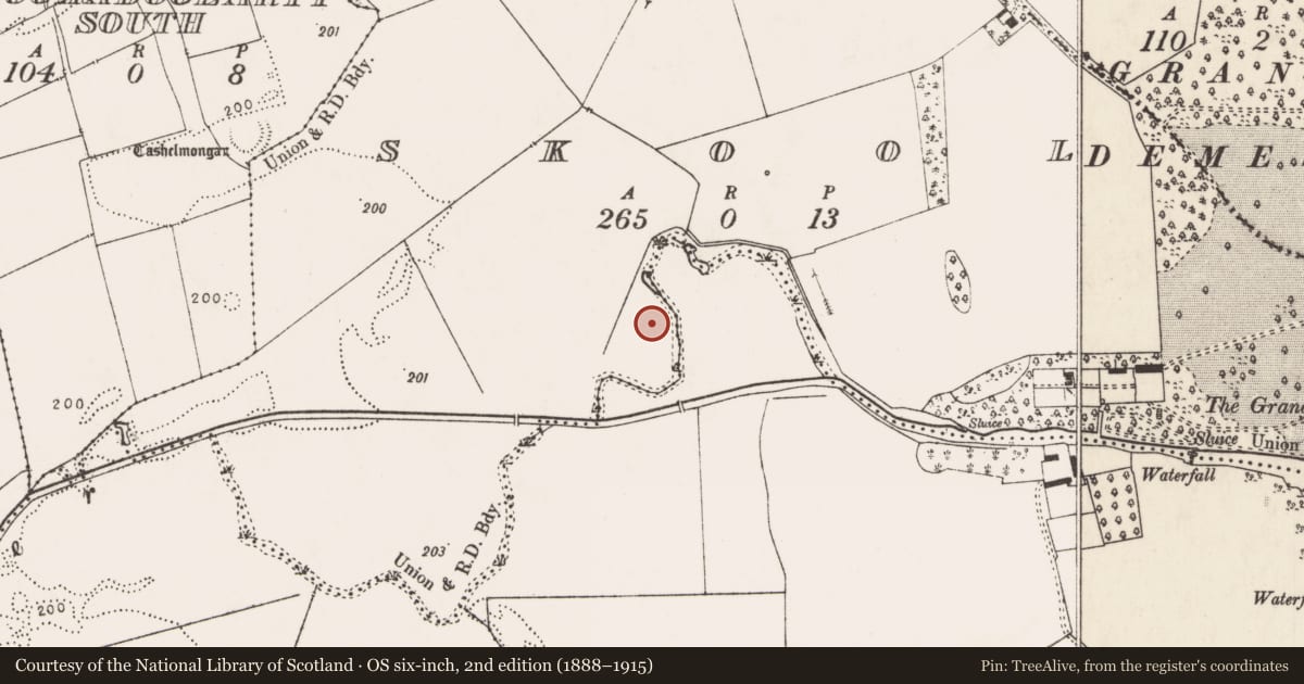 Ordnance Survey six-inch map, 2nd edition (1888–1915) covering the location of Barrow - unclassified, Skool, County Limerick, with a pin at the register's coordinates