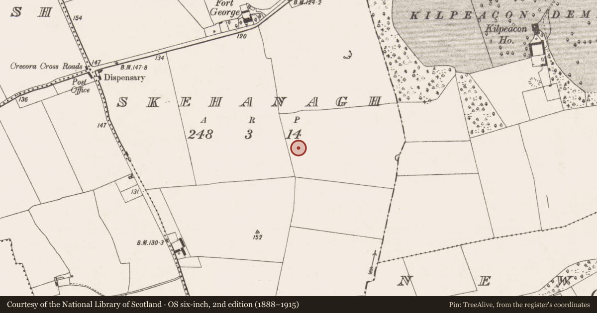 Ordnance Survey six-inch map, 2nd edition (1888–1915) covering the location of Enclosure, Skehanagh, County Limerick, with a pin at the register's coordinates