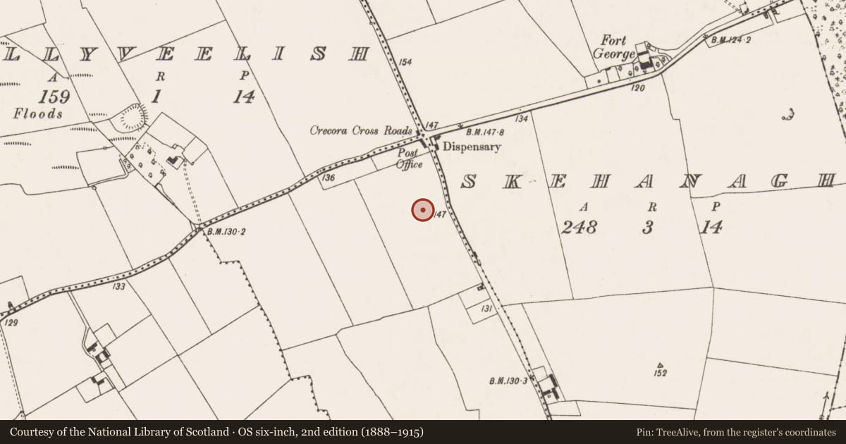 Ordnance Survey six-inch map, 2nd edition (1888–1915) covering the location of Barrow - ring-barrow, Ballycahane Lower, County Limerick, with a pin at the register's coordinates