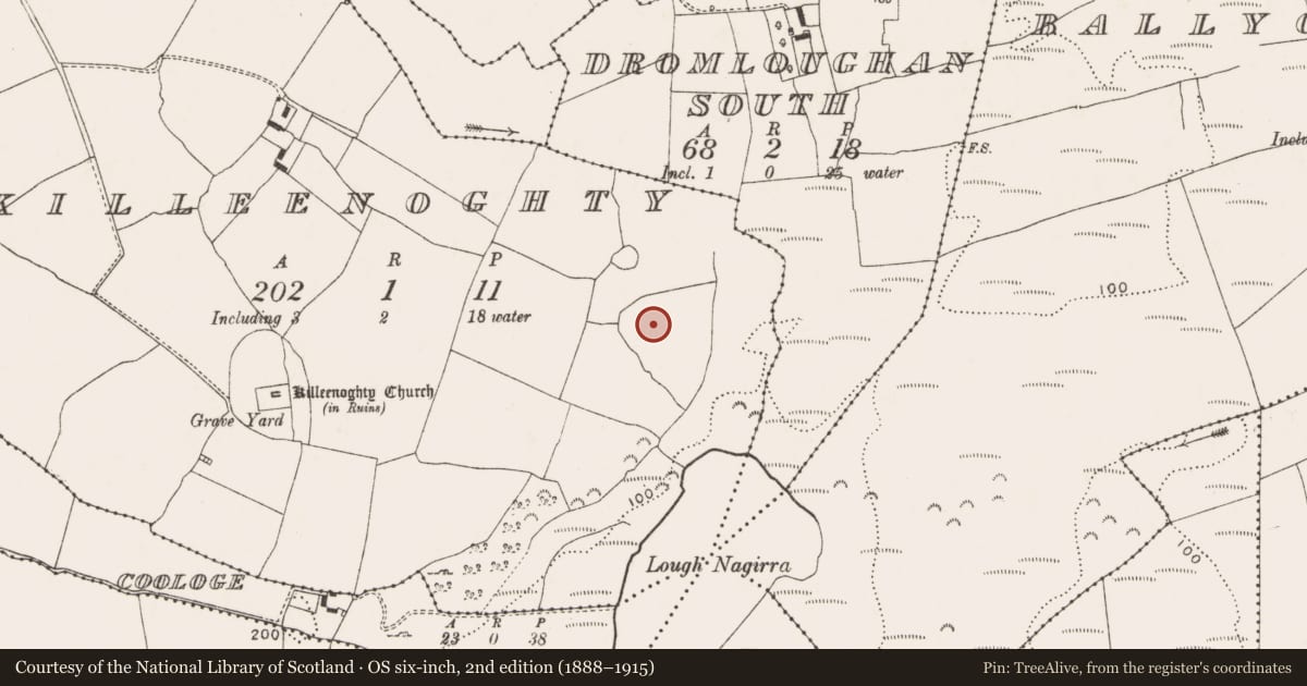 Ordnance Survey six-inch map, 2nd edition (1888–1915) covering the location of Enclosure, Killeenoghty, County Limerick, with a pin at the register's coordinates
