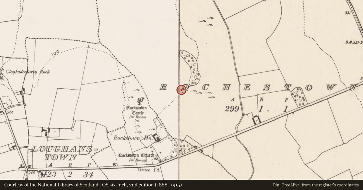 Ordnance Survey six-inch map, 2nd edition (1888–1915) covering the location of Field system, Rochestown, County Limerick, with a pin at the register's coordinates