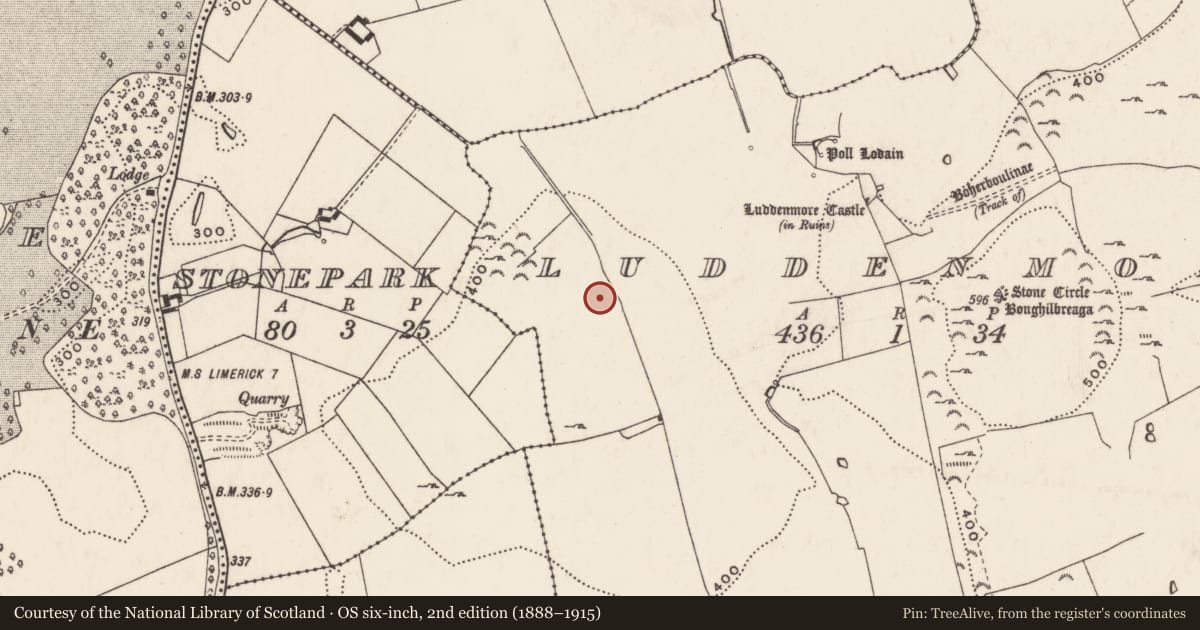 Ordnance Survey six-inch map, 2nd edition (1888–1915) covering the location of Mound, Ludden More, County Limerick, with a pin at the register's coordinates