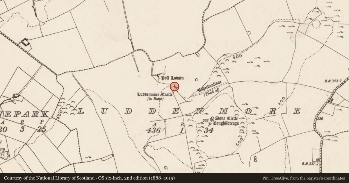 Ordnance Survey six-inch map, 2nd edition (1888–1915) covering the location of Castle - tower house, Ludden More, County Limerick, with a pin at the register's coordinates