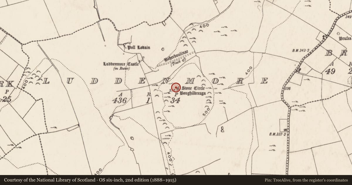 Ordnance Survey six-inch map, 2nd edition (1888–1915) covering the location of Kerb circle, Ludden More, County Limerick, with a pin at the register's coordinates