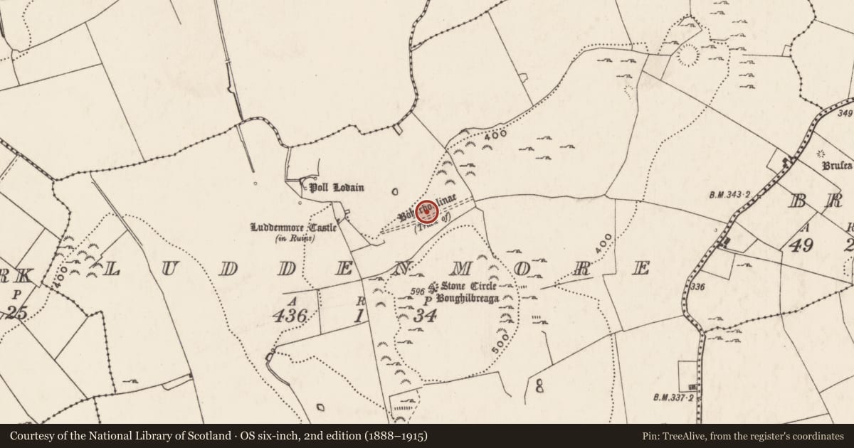 Ordnance Survey six-inch map, 2nd edition (1888–1915) covering the location of Road - road/trackway, Ludden More, County Limerick, with a pin at the register's coordinates
