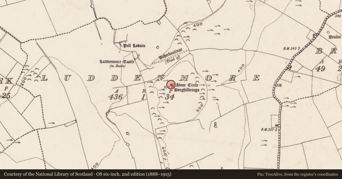 Ordnance Survey six-inch map, 2nd edition (1888–1915) covering the location of Standing stone, Ludden More, County Limerick, with a pin at the register's coordinates