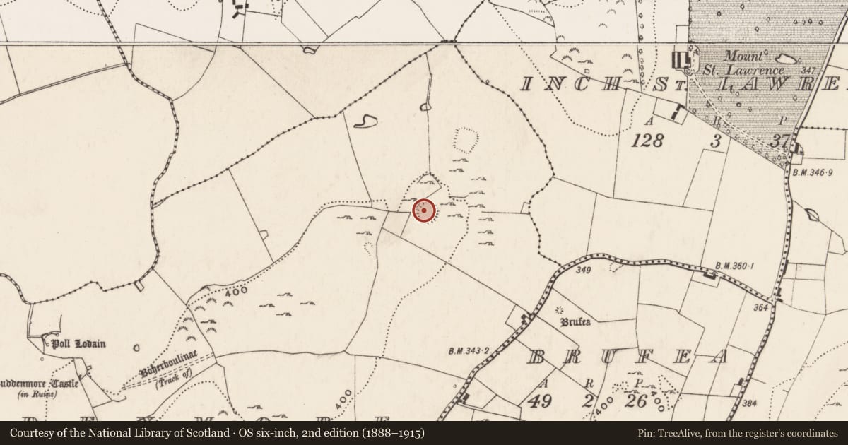 Ordnance Survey six-inch map, 2nd edition (1888–1915) covering the location of Enclosure, Ludden More, County Limerick, with a pin at the register's coordinates