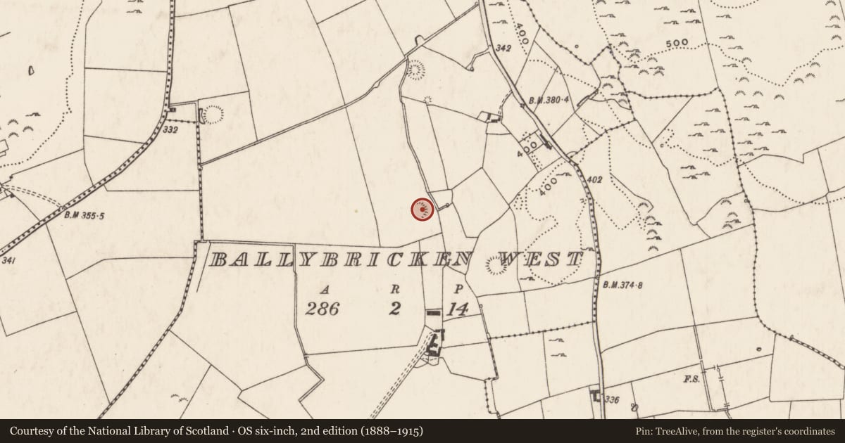 Ordnance Survey six-inch map, 2nd edition (1888–1915) covering the location of Ringfort - rath, Ballybricken West, County Limerick, with a pin at the register's coordinates