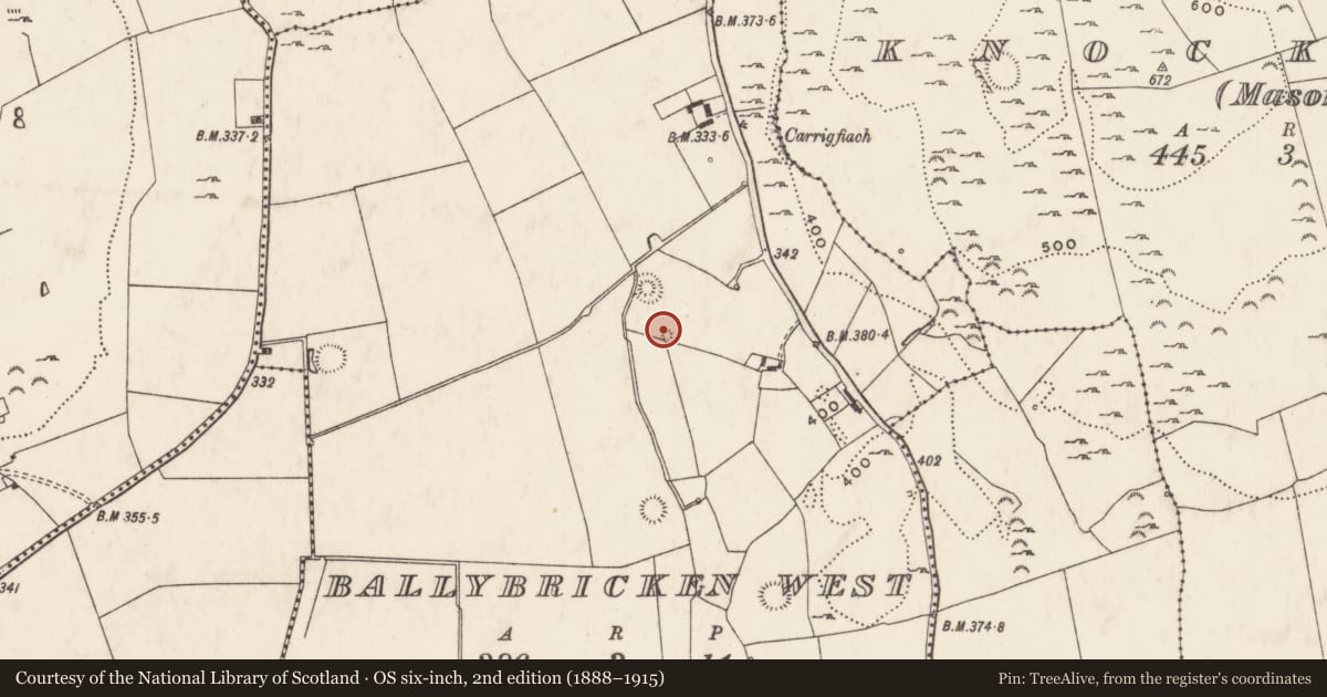 Ordnance Survey six-inch map, 2nd edition (1888–1915) covering the location of Barrow - ring-barrow, Ballybricken West, County Limerick, with a pin at the register's coordinates