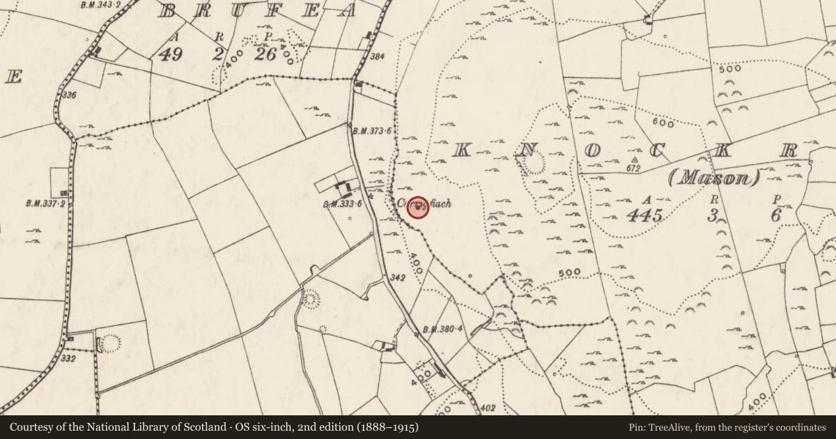 Ordnance Survey six-inch map, 2nd edition (1888–1915) covering the location of Enclosure, Knockroe (Mason), County Limerick, with a pin at the register's coordinates