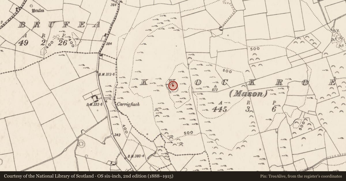 Ordnance Survey six-inch map, 2nd edition (1888–1915) covering the location of Enclosure, Knockroe (Mason), County Limerick, with a pin at the register's coordinates