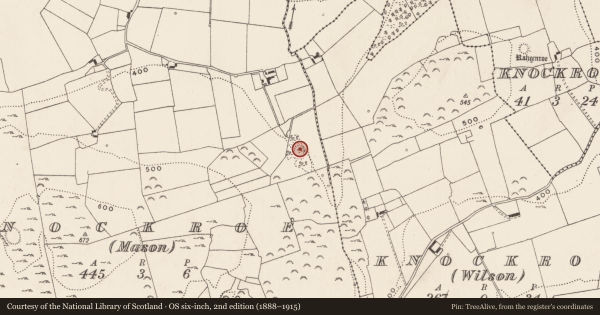 Ordnance Survey six-inch map, 2nd edition (1888–1915) covering the location of Enclosure, Knockroe (Mason), County Limerick, with a pin at the register's coordinates