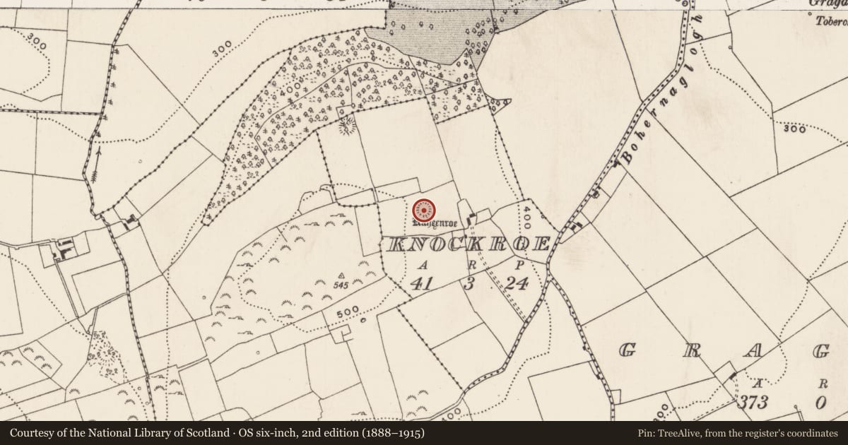 Ordnance Survey six-inch map, 2nd edition (1888–1915) covering the location of Ringfort - rath, Knockroe, County Limerick, with a pin at the register's coordinates