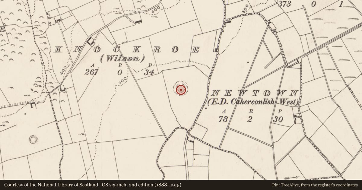 Ordnance Survey six-inch map, 2nd edition (1888–1915) covering the location of Enclosure, Knockroe (Wilson), County Limerick, with a pin at the register's coordinates