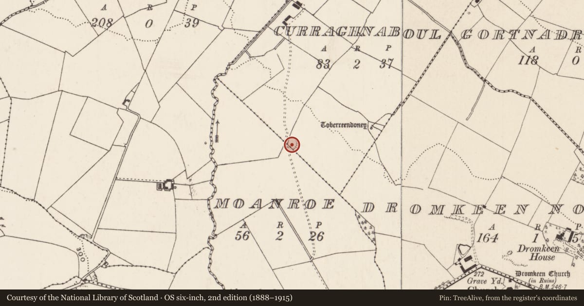 Ordnance Survey six-inch map, 2nd edition (1888–1915) covering the location of Ringfort - rath, Curraghnaboul, County Limerick, with a pin at the register's coordinates