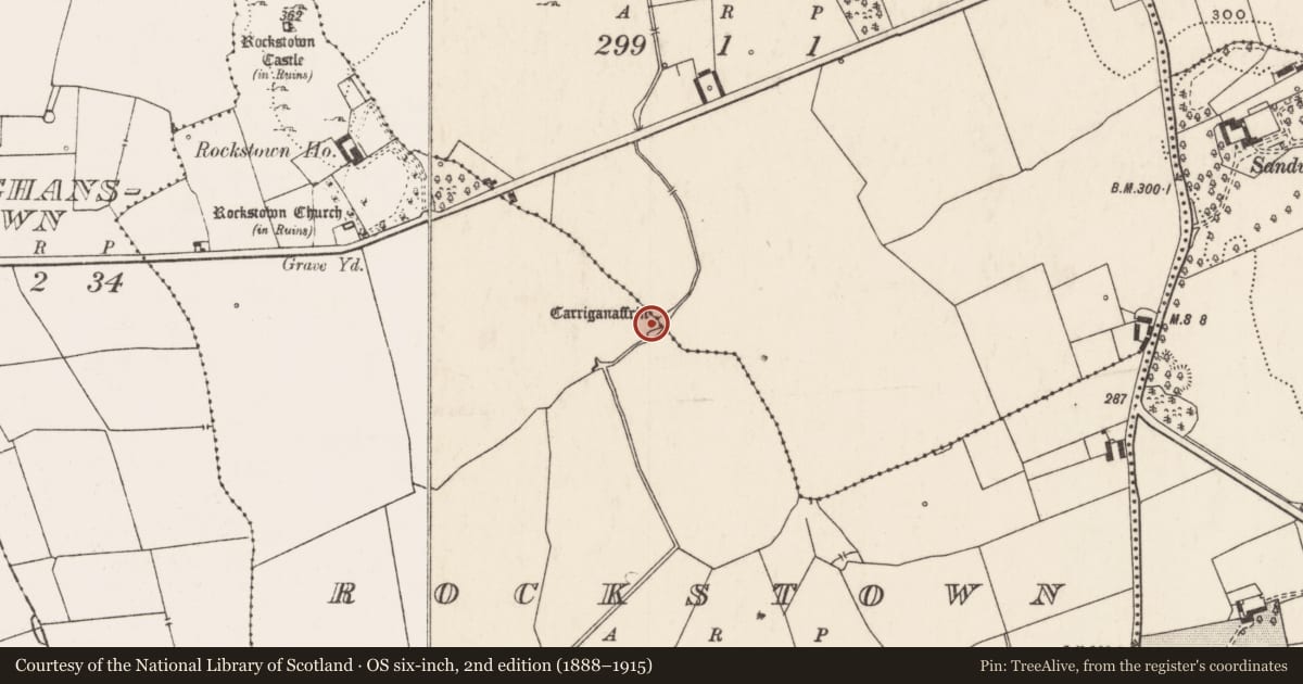 Ordnance Survey six-inch map, 2nd edition (1888–1915) covering the location of Mass-rock, Rockstown, County Limerick, with a pin at the register's coordinates