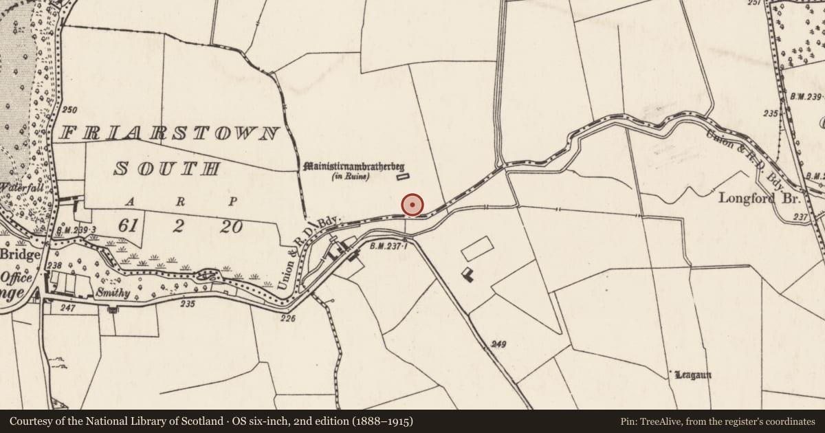 Ordnance Survey six-inch map, 2nd edition (1888–1915) covering the location of Graveyard, Friarstown, County Limerick, with a pin at the register's coordinates