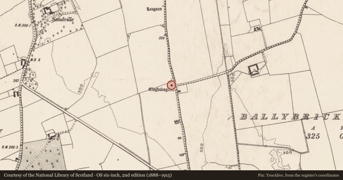 Ordnance Survey six-inch map, 2nd edition (1888–1915) covering the location of Standing stone, Friarstown, County Limerick, with a pin at the register's coordinates