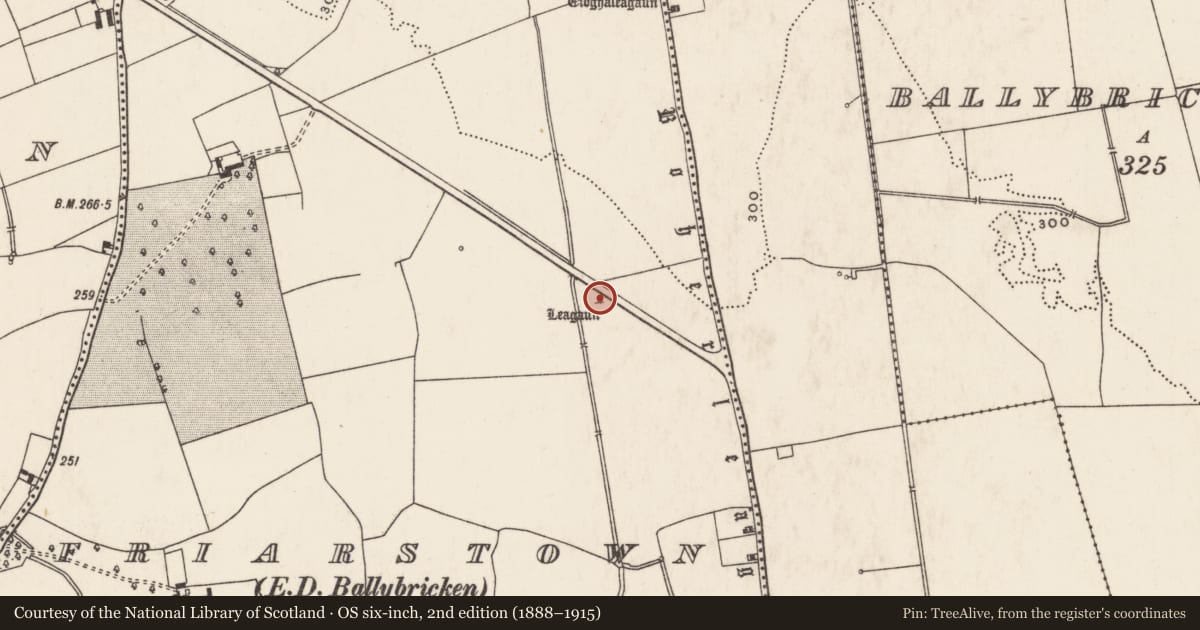 Ordnance Survey six-inch map, 2nd edition (1888–1915) covering the location of Standing stone, Friarstown, County Limerick, with a pin at the register's coordinates