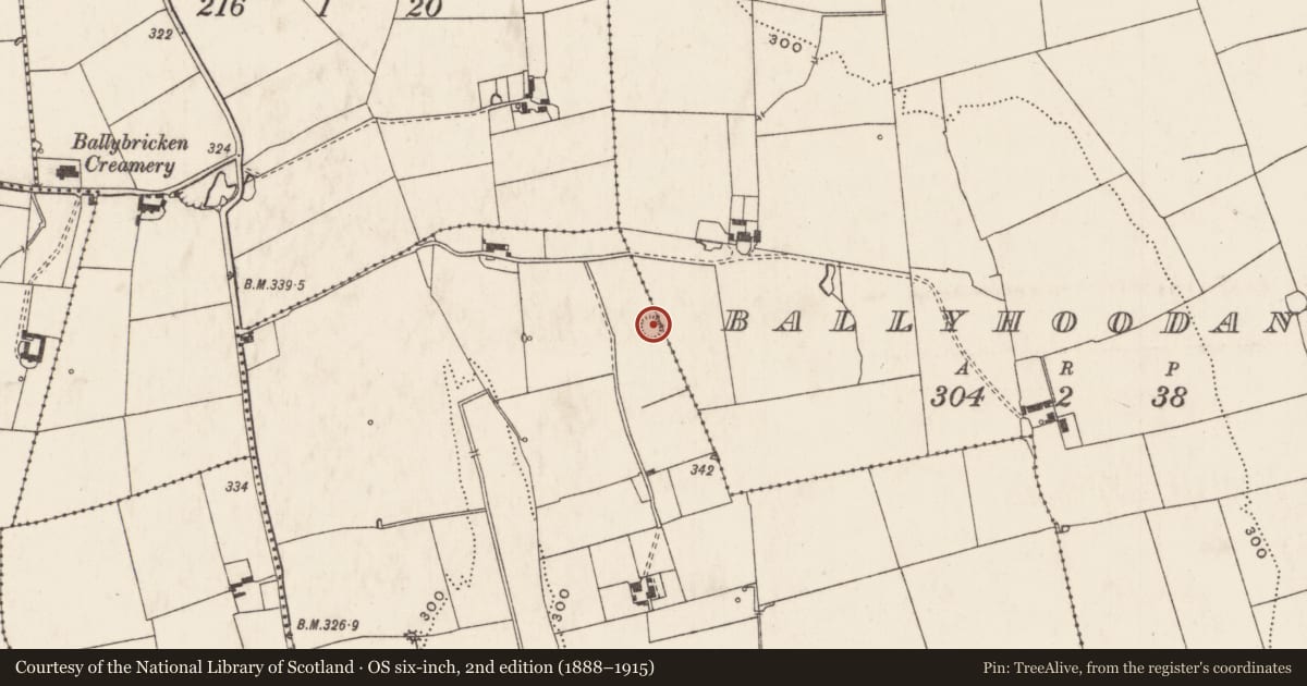 Ordnance Survey six-inch map, 2nd edition (1888–1915) covering the location of Ringfort - rath, Caherelly East, County Limerick, with a pin at the register's coordinates