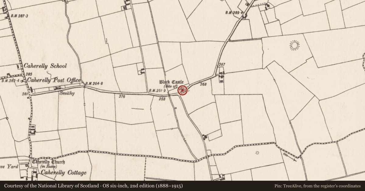 Ordnance Survey six-inch map, 2nd edition (1888–1915) covering the location of Castle - unclassified, Caherelly East, County Limerick, with a pin at the register's coordinates