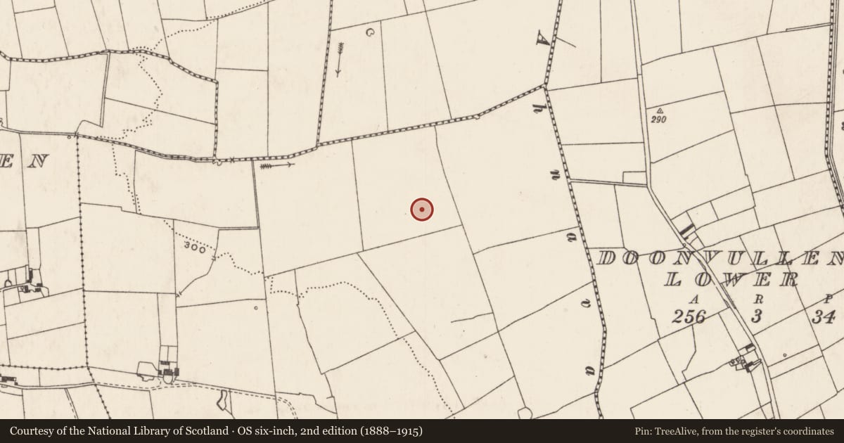 Ordnance Survey six-inch map, 2nd edition (1888–1915) covering the location of Enclosure, Ballyhoodane, County Limerick, with a pin at the register's coordinates