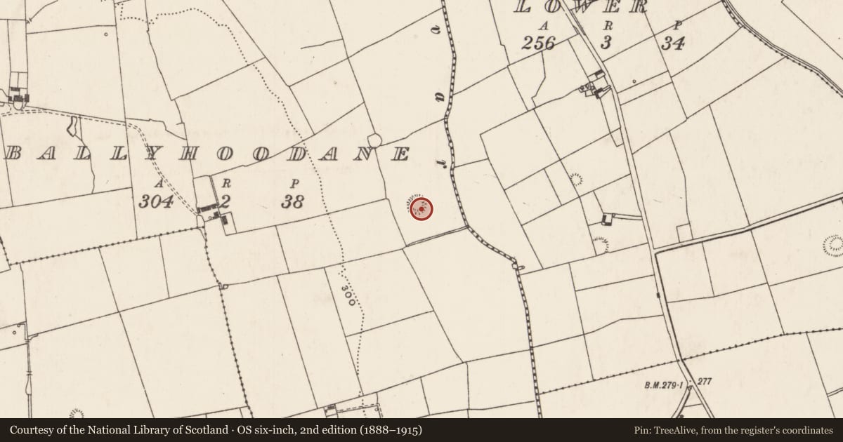 Ordnance Survey six-inch map, 2nd edition (1888–1915) covering the location of Ringfort - rath, Ballyhoodane, County Limerick, with a pin at the register's coordinates