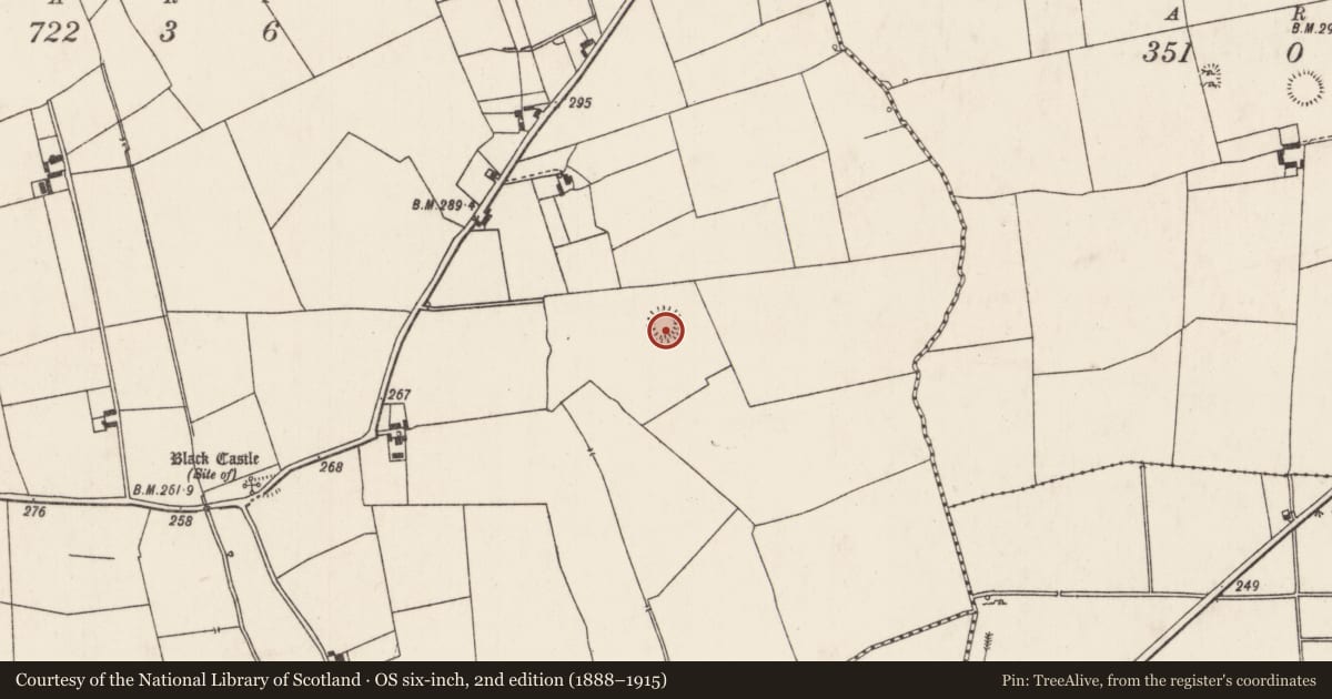 Ordnance Survey six-inch map, 2nd edition (1888–1915) covering the location of Ringfort - rath, Caherelly East, County Limerick, with a pin at the register's coordinates