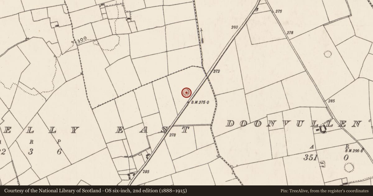 Ordnance Survey six-inch map, 2nd edition (1888–1915) covering the location of Ringfort - rath, Caherelly East, County Limerick, with a pin at the register's coordinates