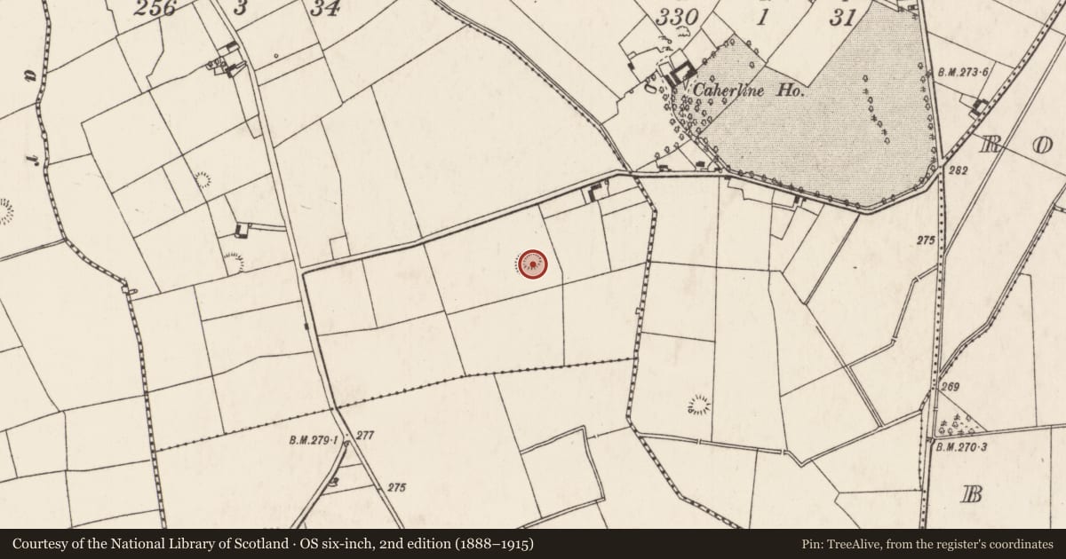 Ordnance Survey six-inch map, 2nd edition (1888–1915) covering the location of Ringfort - rath, Doonvullen Lower, County Limerick, with a pin at the register's coordinates
